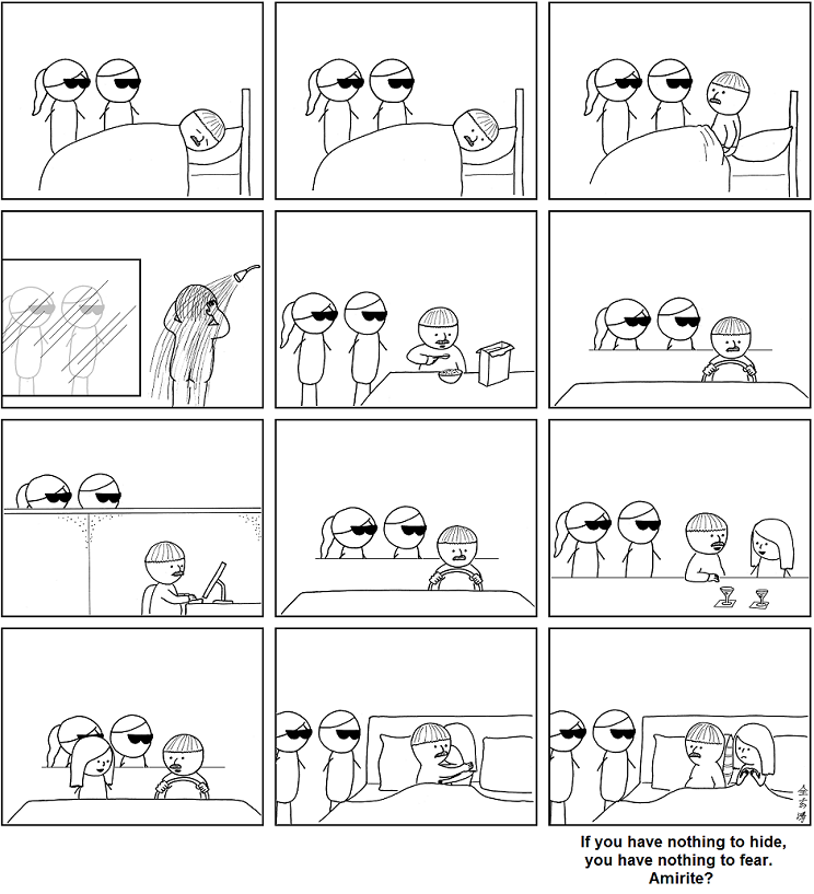 Privacy in 1000 (figurative) words