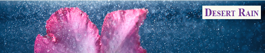 Desert_Rain