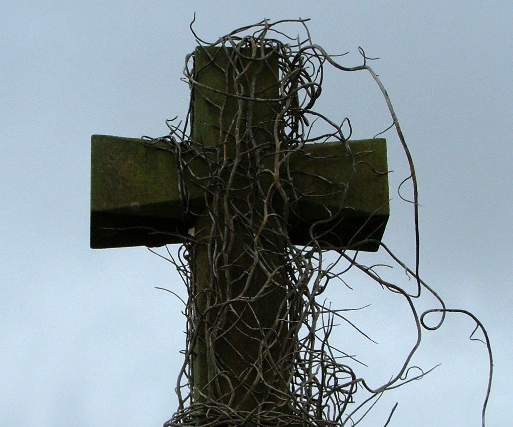 As an Anglican, what do you believe [about the intermediate state